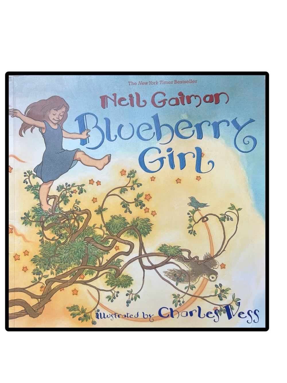 BUNDLE & SAVE 🫐Blueberry Girl softcover book by Neil Gaiman